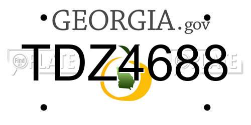 TDZ4688 Georgia License Plate