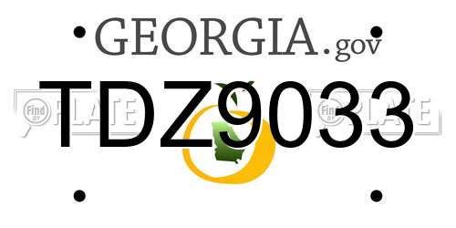 TDZ9033 Georgia License Plate