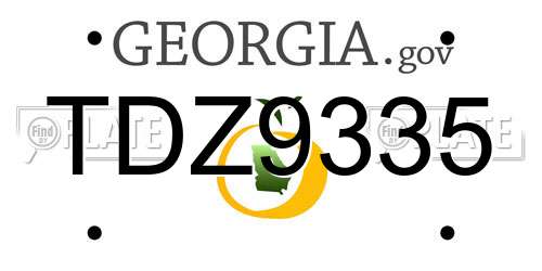TDZ9335 Georgia License Plate