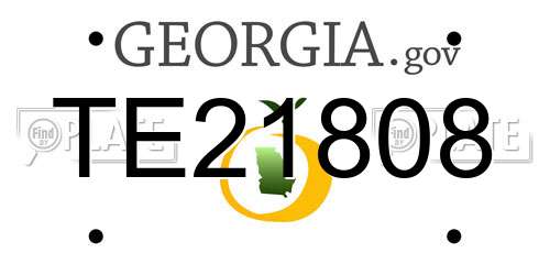 TE21808 Georgia License Plate