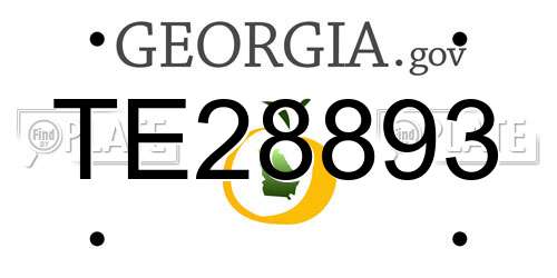 TE28893 Georgia License Plate