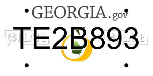 TE2B893 Georgia License Plate