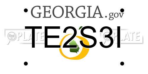 TE2S3I Georgia License Plate