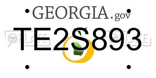 TE2S893 Georgia License Plate