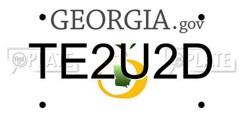 TE2U2D Georgia License Plate
