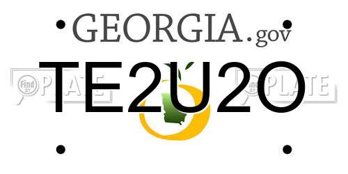 TE2U2O Georgia License Plate