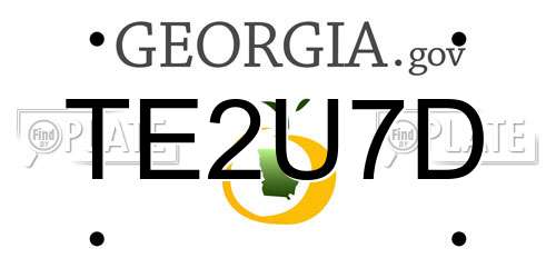 TE2U7D Georgia License Plate