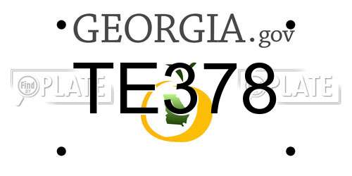 TE378 Georgia License Plate
