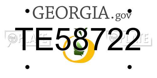 TE58722 Georgia License Plate