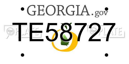 TE58727 Georgia License Plate