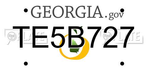 TE5B727 Georgia License Plate