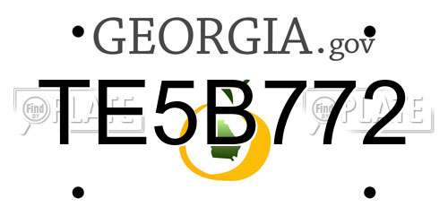 TE5B772 Georgia License Plate