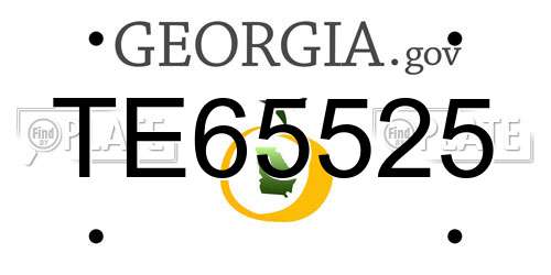 TE65525 Georgia License Plate