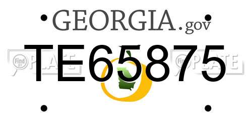 TE65875 Georgia License Plate