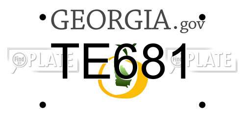 TE681 Georgia License Plate