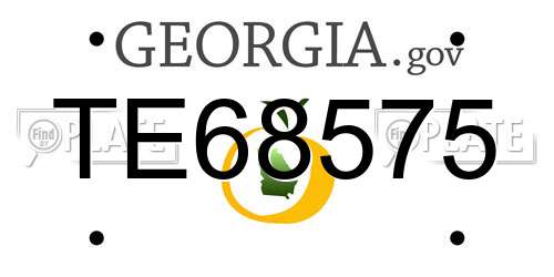 TE68575 Georgia License Plate