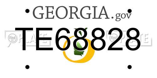 TE68828 Georgia License Plate