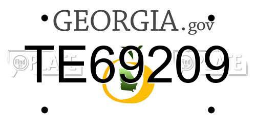 TE69209 Georgia License Plate
