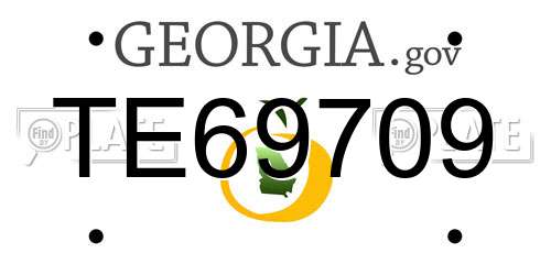 TE69709 Georgia License Plate