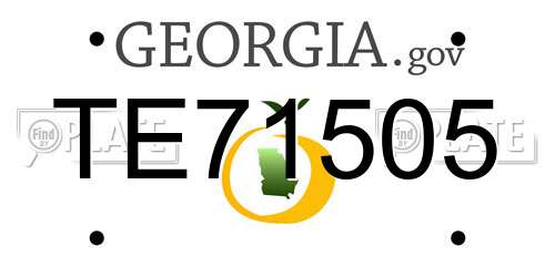 TE71505 Georgia License Plate