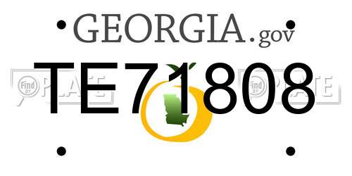 TE71808 Georgia License Plate
