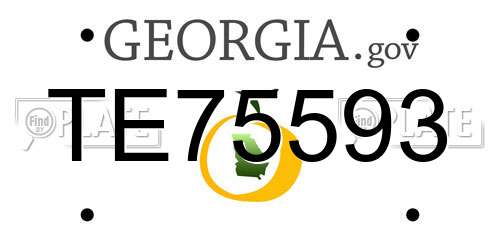 TE75593 Georgia License Plate