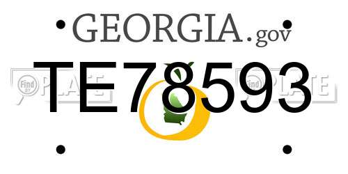 TE78593 Georgia License Plate