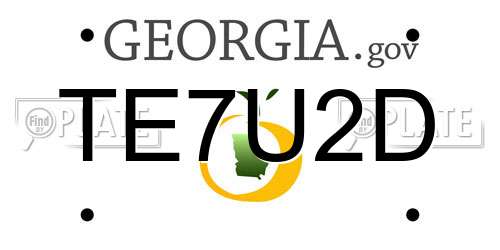 TE7U2D Georgia License Plate
