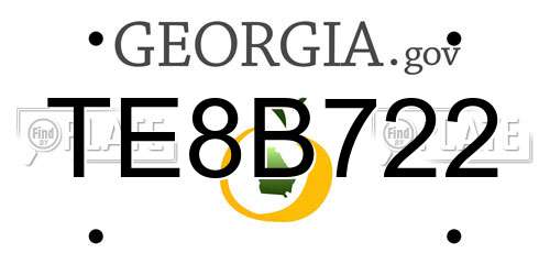 TE8B722 Georgia License Plate