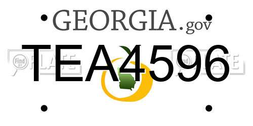 TEA4596 Georgia License Plate