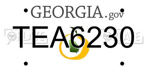 TEA6230 Georgia License Plate