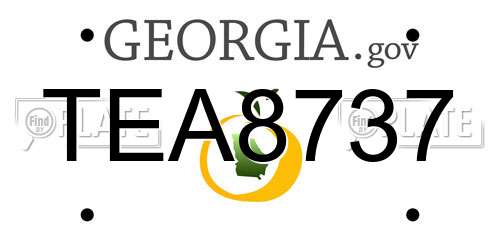 TEA8737 Georgia License Plate