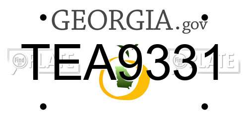 TEA9331 Georgia License Plate
