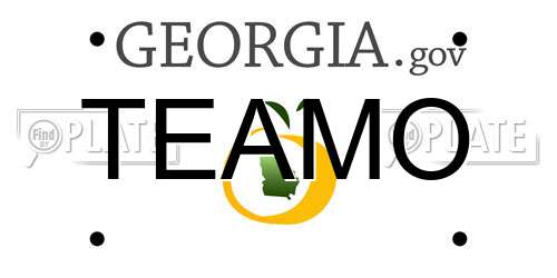 TEAMO Georgia License Plate