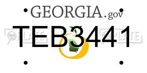 TEB3441 Georgia License Plate