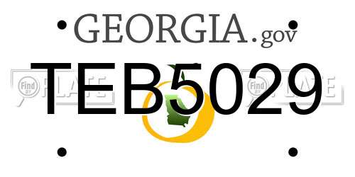 TEB5029 Georgia License Plate