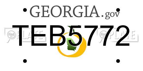 TEB5772 Georgia License Plate