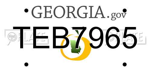 TEB7965 Georgia License Plate