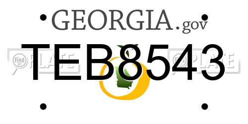 TEB8543 Georgia License Plate