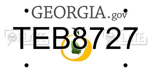 TEB8727 Georgia License Plate