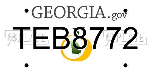 TEB8772 Georgia License Plate