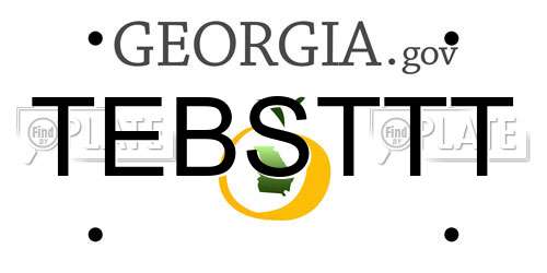 TEBSTTT Georgia License Plate