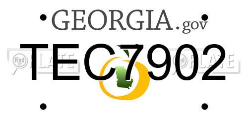 TEC7902 Georgia License Plate