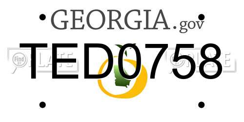TED0758 Georgia License Plate
