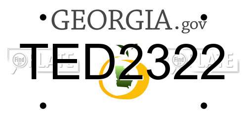 TED2322 Georgia License Plate
