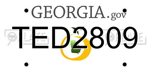 TED2809 Georgia License Plate