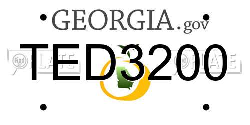 TED3200 Georgia License Plate