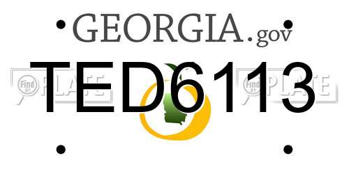 TED6113 Georgia License Plate