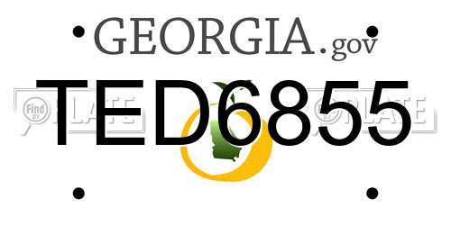 TED6855 Georgia License Plate