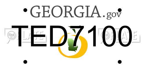 TED7100 Georgia License Plate